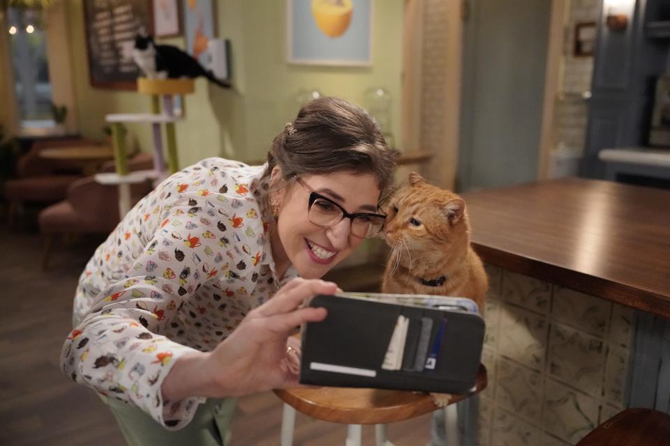 Mayim Bialik runs a cat-themed restaurant in u0022Call Me Kat.u0022