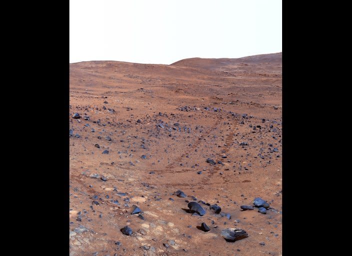 Spirit shot this 360° false color Pancam view, called the "Seminole" panorama, on sols 672-677 (Nov. 23-28, 2005) while descending the southern slopes of Husband Hill.    <em>From "Postcards from Mars" by Jim Bell; Photo credit: NASA/JPL/Cornell University</em>  