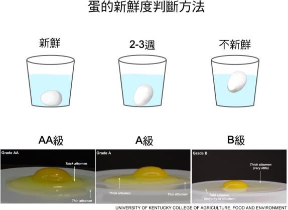 專家分享2套判斷雞蛋是否新鮮的方法。（圖／翻攝自「韋恩的食農生活」臉書）