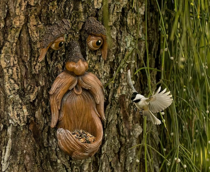 a face that looks like it's made of bark on a tree trunk with bird seed in the beard pocket with a bird flying toward it 