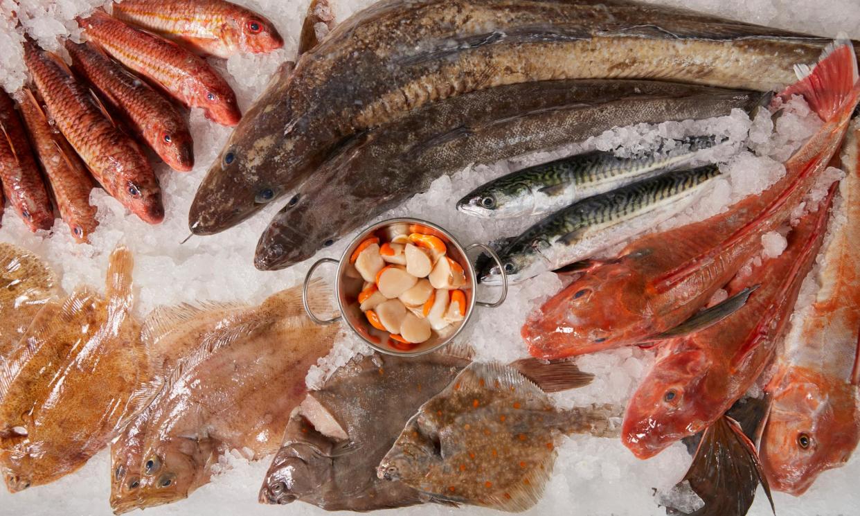 <span>Seafood platter: a display of the fresh catch at the Falmouth fishmonger Pysk, including hake, gurnard, ling, red mullet, megrim and lemon sole. The Gilberts, who run Pysk, know which boats landed all of the fish and shellfish for sale. </span><span>Photograph: Emli Bendixen/The Guardian</span>