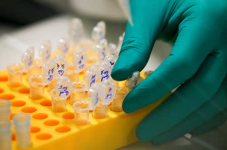 FILE PHOTO: A researcher, seen through a window, prepares DNA in a laboratory at the Bioaster Technology Research Institute in Lyon, France, October 31, 2014. REUTERS/Robert Pratta/File Photo