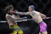 Sean O'Malley hits Marlon Vera during a bantamweight title bout at the UFC 299 mixed martial arts event early Sunday, March 10, 2024, in Miami. O'Malley won the bout. (AP Photo/Wilfredo Lee)