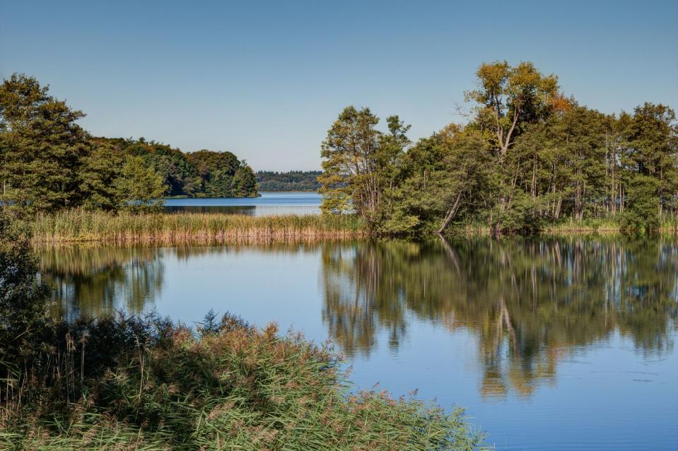 Als Rast- und Brutplatz für Reisevögel wie etwa Kraniche und Graugänse befindet sich der 24 Quadratkilometer große Schaalsee zwischen den norddeutschen Städten Hamburg, Lübeck und Schwerin. Im geteilten Deutschland verlief die Grenze durch den Klarwassersee. Davon profitierte die Natur mit ihren Mooren, Weideland, Feuchtwiesen und Lebewesen, die ungestört leben konnten. Motorboote sind noch immer verboten. (Bild: iStock/Edgar G. Biehle)