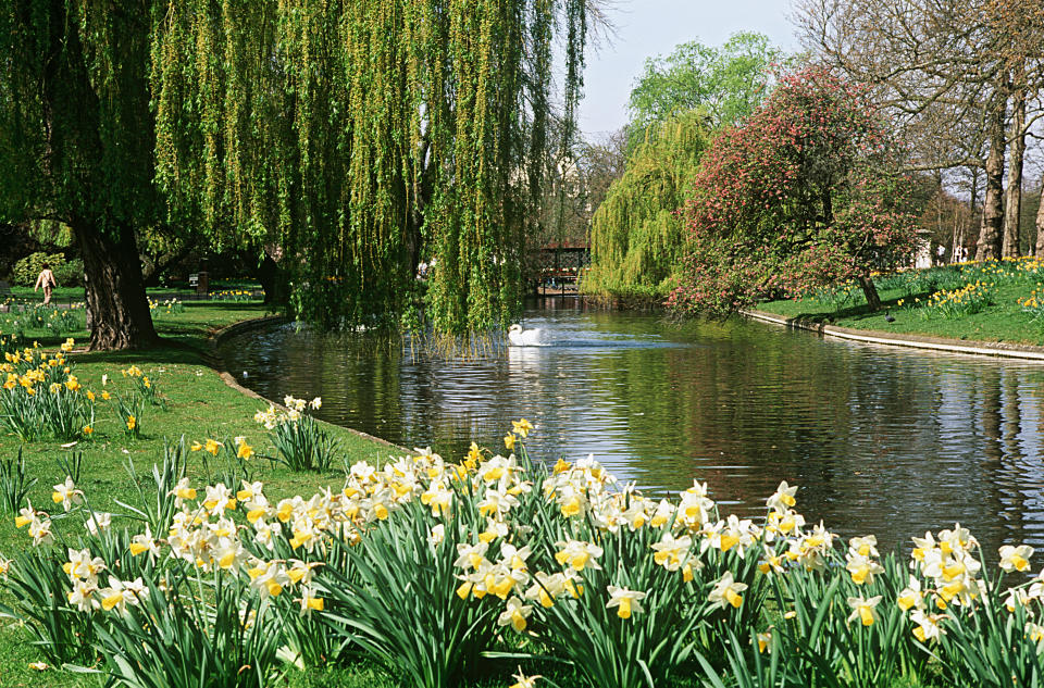 The gardens in Regent's Park are a glorious spot (Getty Images)