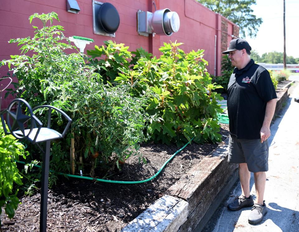 Joe Bellia checks on his garden outside Joe's La Roma Ristorante Tuesday, Aug. 15, 2023, in Fruitland, Maryland.