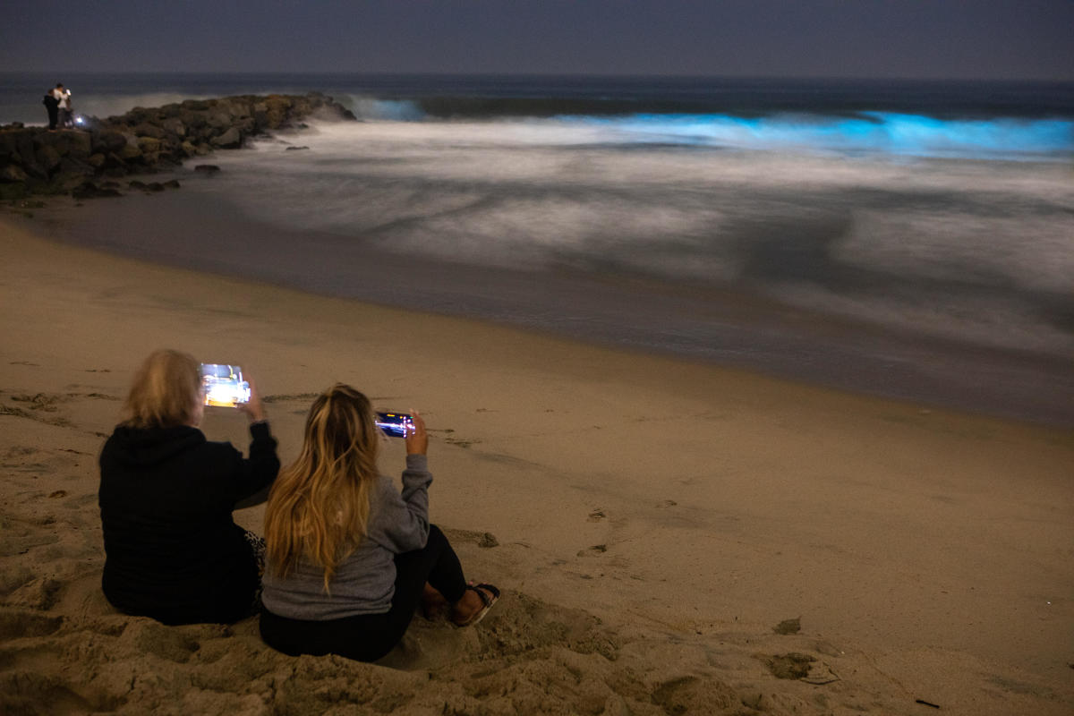 Bioluminescent waves light up Southern California's coastal waters