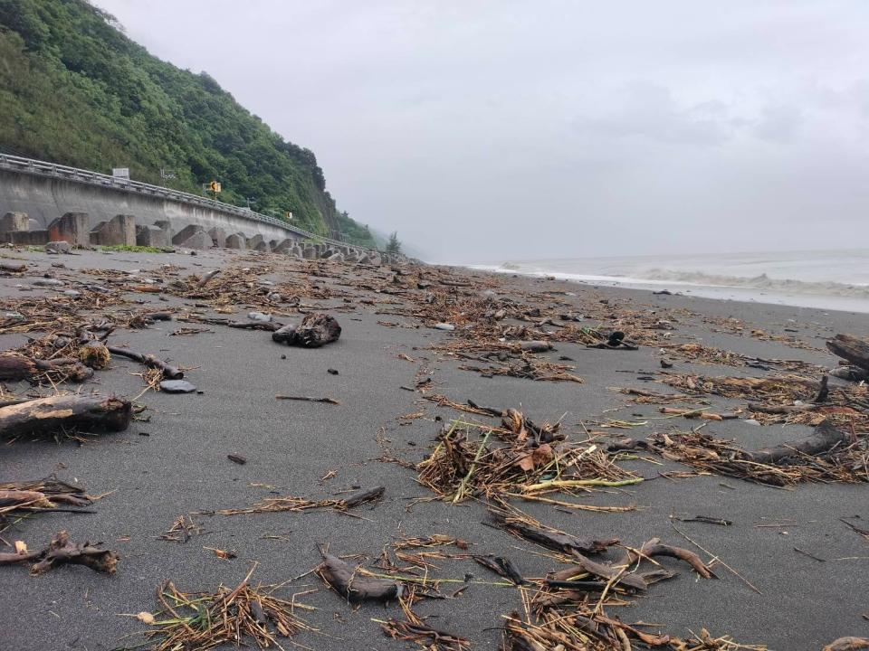 漂流木被沖到東海岸岸際。台東林管處提供