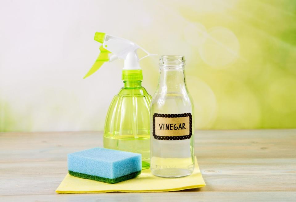 Vinegar with Cleaning Supplies