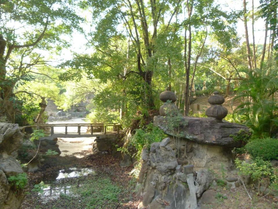 小普陀禪修公園已封閉數十年，樹與石已渾然天成美景。