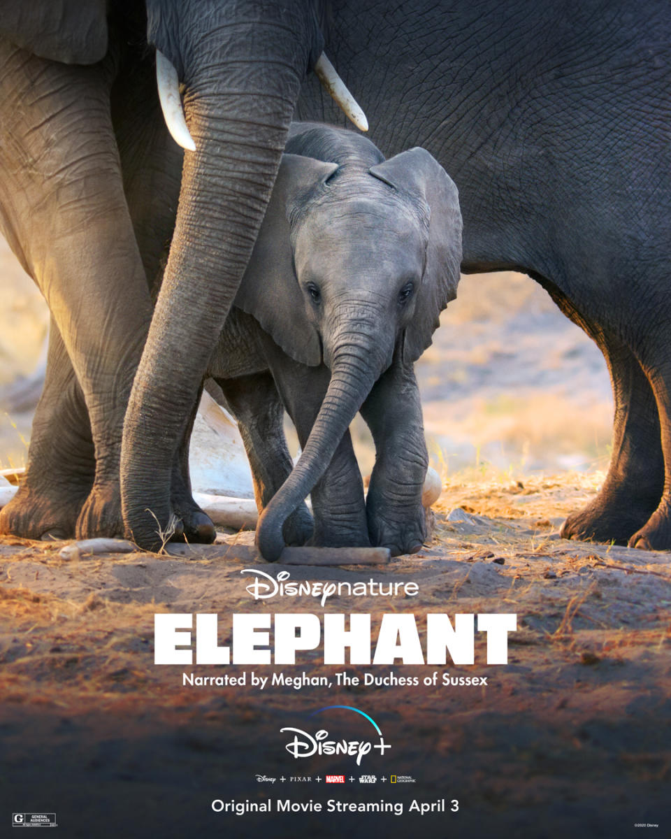 Elephant, Narrated by Meghan, The Duchess of Sussex. Coming to Disney+ on April 3, 2020. Image courtesy of Disney. 