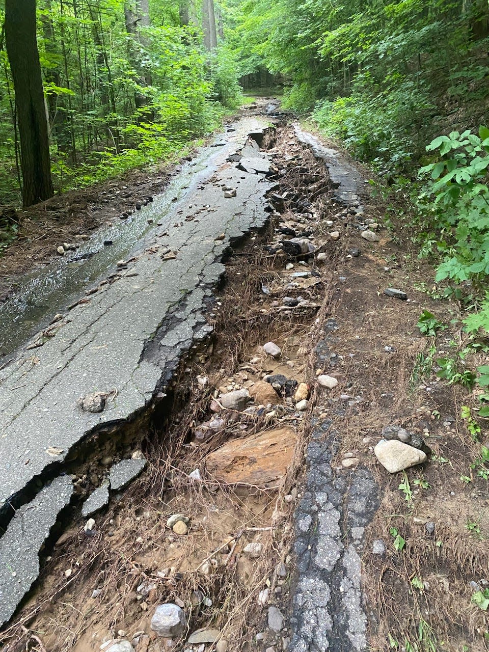 The Chipman Hill section of the TAM sustained major damage in the August 3rd's storm.