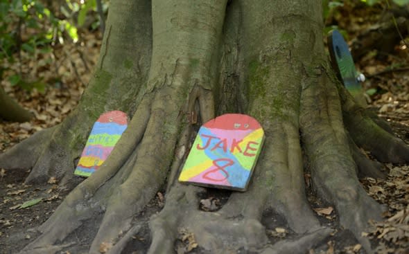 Woodland authorities crack down on fairy doors