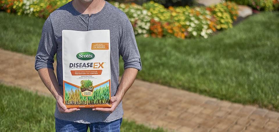 Scotts DiseaseEx Lawn Fungicide (Photo: Amazon)