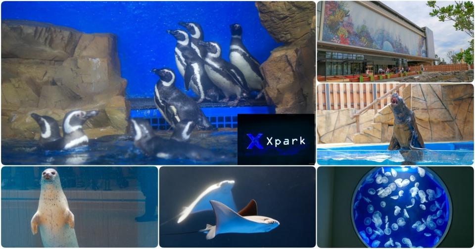 桃園水族館「Xpark」