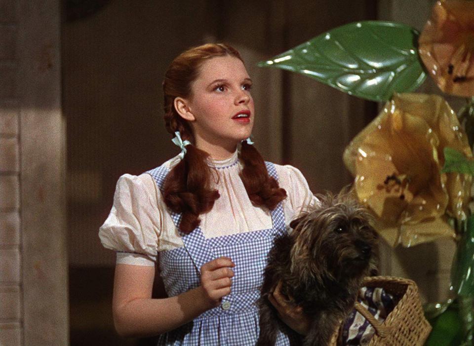 <p>What if Dorothy's time in Oz wasn't a dream at all, but an alternate reality? Based on the fact that nearly every major figure Dorothy meets in Oz has a counterpart in her real life from Kansas, <a href="https://www.reddit.com/r/FanTheories/comments/1mwefg/the_wizard_of_oz_dorothy_is_the_wicked_witch_of/" rel="nofollow noopener" target="_blank" data-ylk="slk:one wild fan theory;elm:context_link;itc:0;sec:content-canvas" class="link ">one wild fan theory</a> suggests that Dorothy also has a parallel counterpart in the alternate reality ... and it's none other than the Wicked Witch of the East.</p><p>Just think about how we never see the face of Wicked Witch of the East before she conveniently gets crushed by Dorothy's house — and how strangely, the only thing we know about her is that she and Dorothy have the same shoe size. Coincidence? Many fans certainly don't think so ...</p>