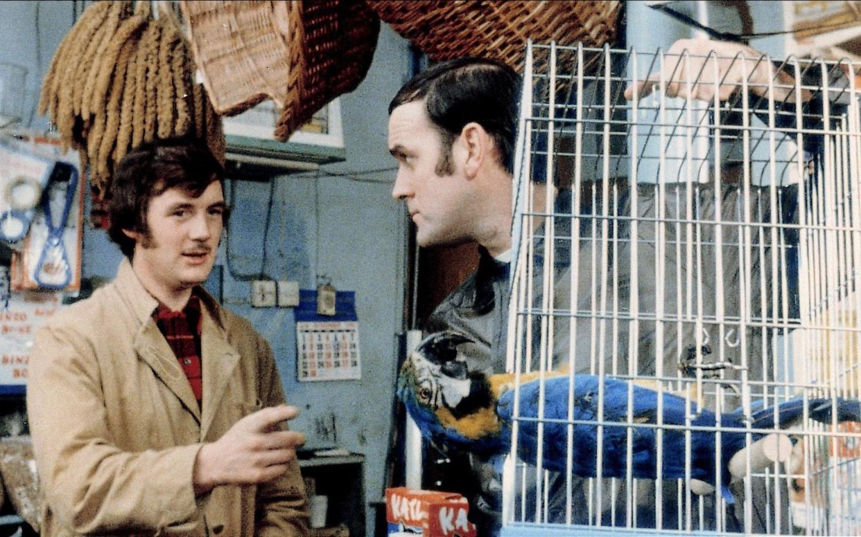 Bereft of life, it rests in peace: the 'Dead Parrot' sketch from Monty Python's Flying Circus - Alamy