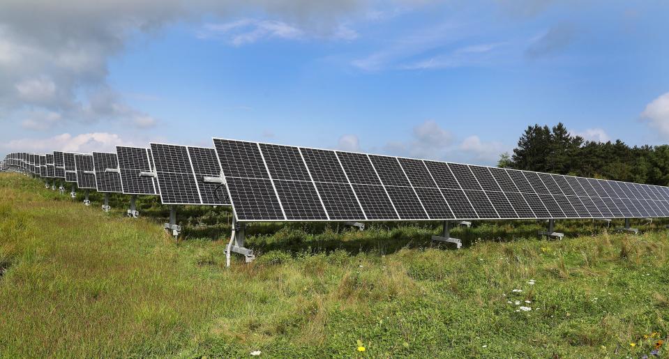 A solar field in Lansing, New York is also a summer home to pigs and sheep that feed on the grasses around the panels.