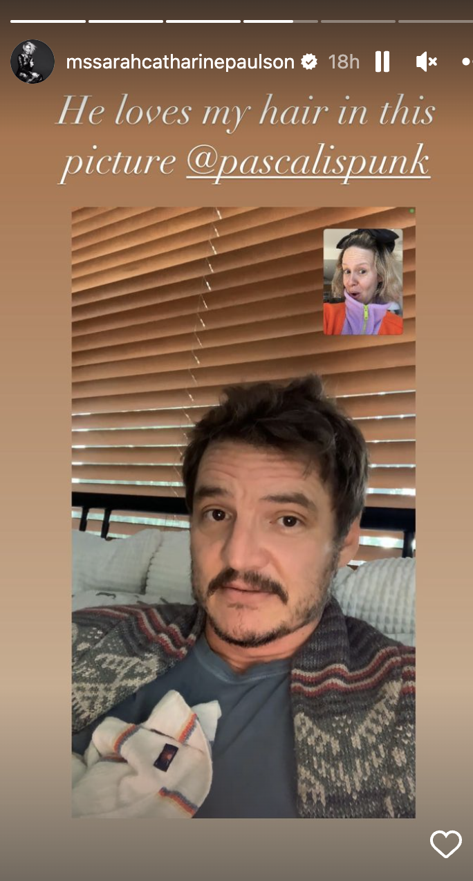 Sarah's IG story pic of Pedro and her FaceTiming, with caption "He loves my hair in this picture"