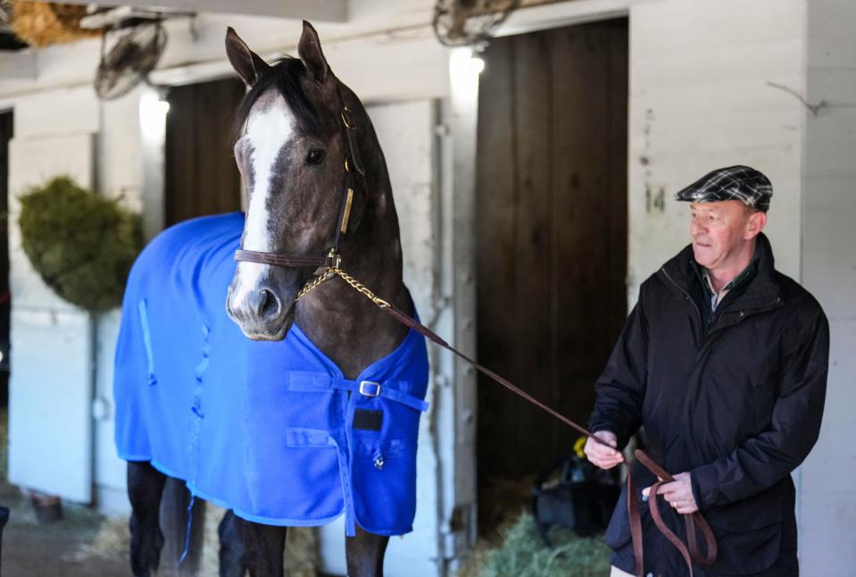 Kentucky Derby hopeful Reincarnate pauses in the stable with Peter Hutton Tuesday morning at Churchill Downs May 2, 2023, in Louisville, Ky.