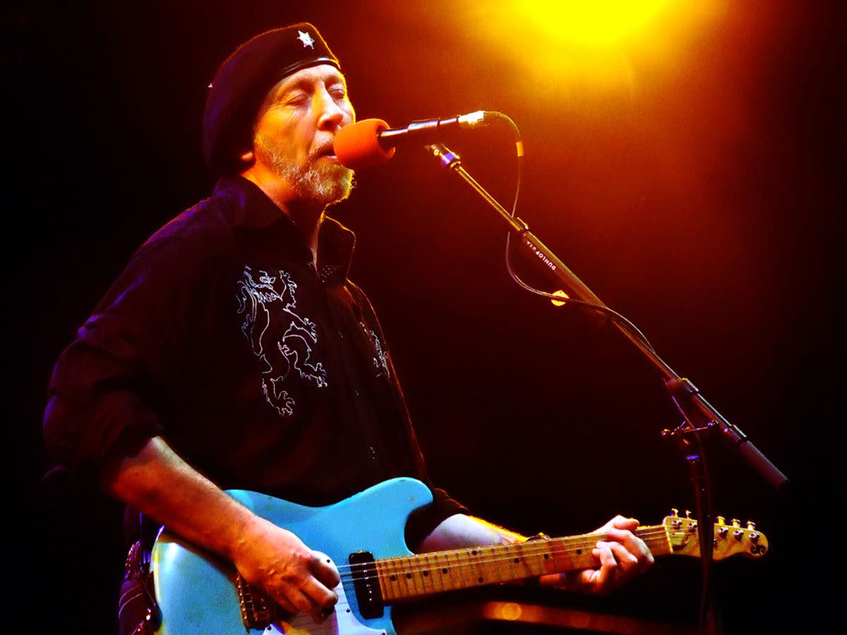 Closeup of Richard Thompson Performing Live at Prospect Park, Brooklyn, 2006