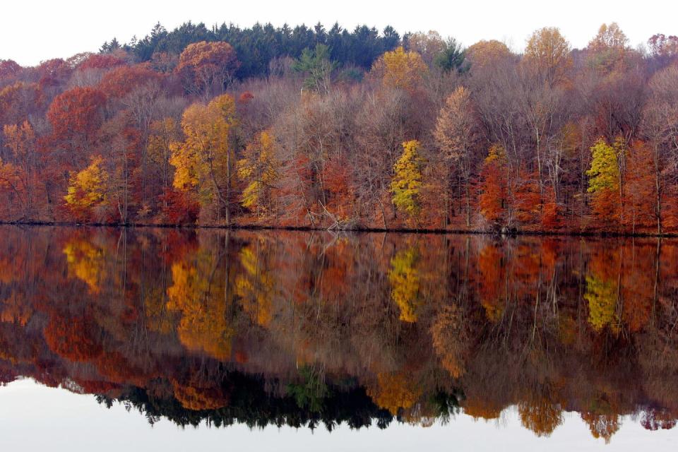 <p>A quiet lake creates a calm autumn scene in Chappaqua, New York.</p>