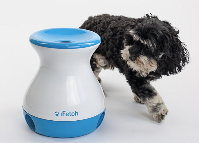 20 Interactive Dog Toys to Keep Your Pup Busy - PureWow