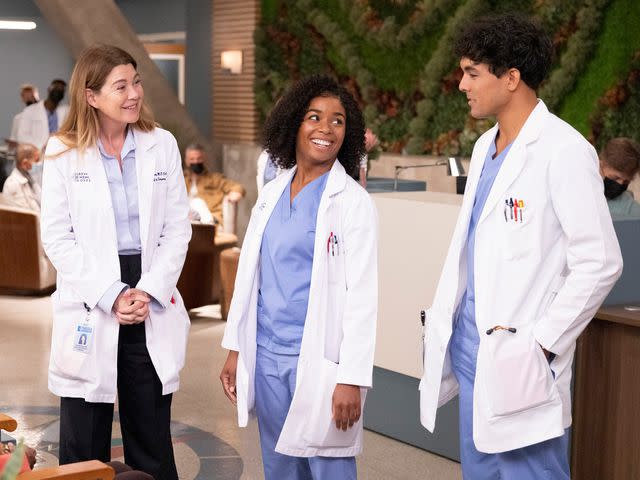 <p>Liliane Lathan/ABC/Getty</p> Ellen Pompeo, Alexis Floyd, and Niko Tehro in 'Grey's Anatomy'