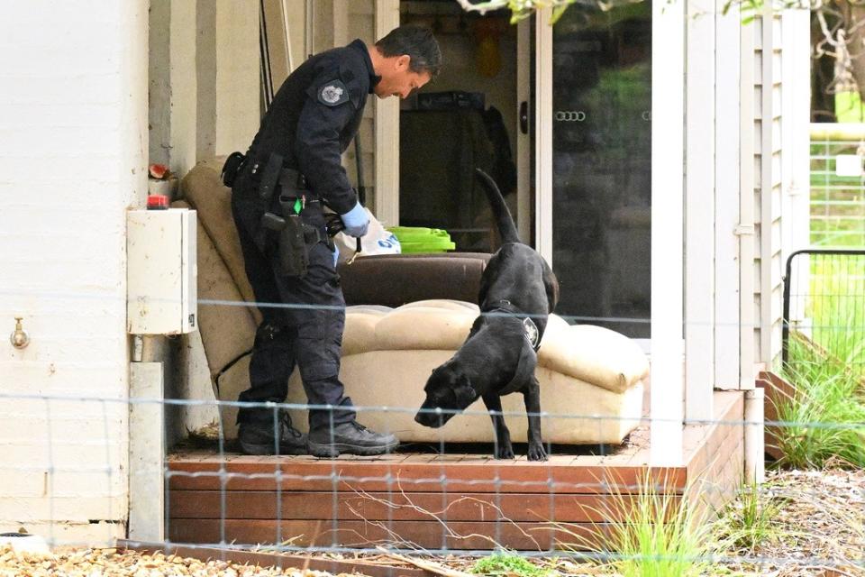 澳洲警方11月2日搜索犯嫌派特森住處，以警犬嗅探可疑物品。美聯社