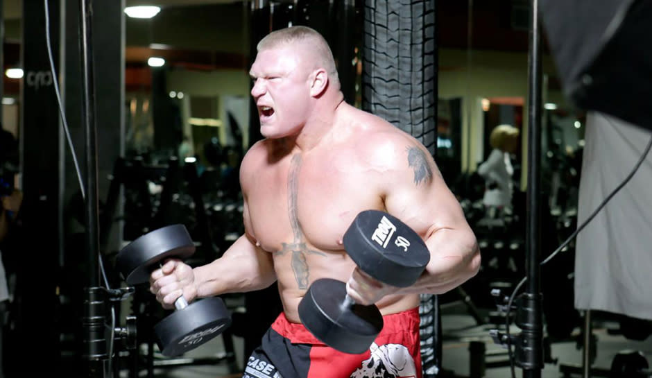 ovw brock lesnar