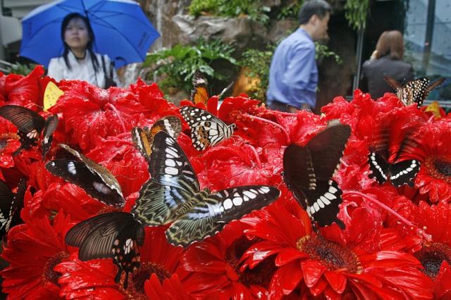 Walking Tour: Changi Airport Terminal 2 (Partial Re-opening)