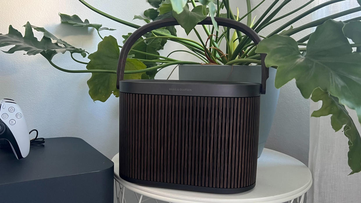  Bang & Olufsen Beosound A5 on side table with plant 