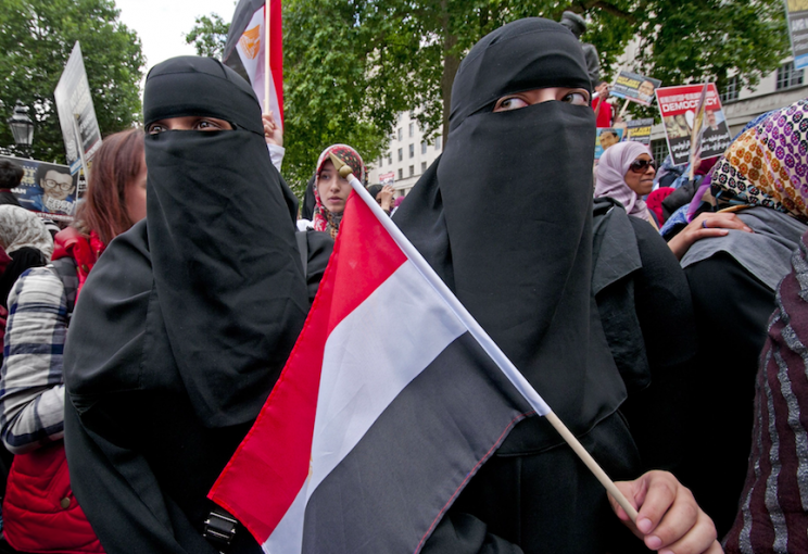 Ukip want to ban the burka in Britain (Rex)