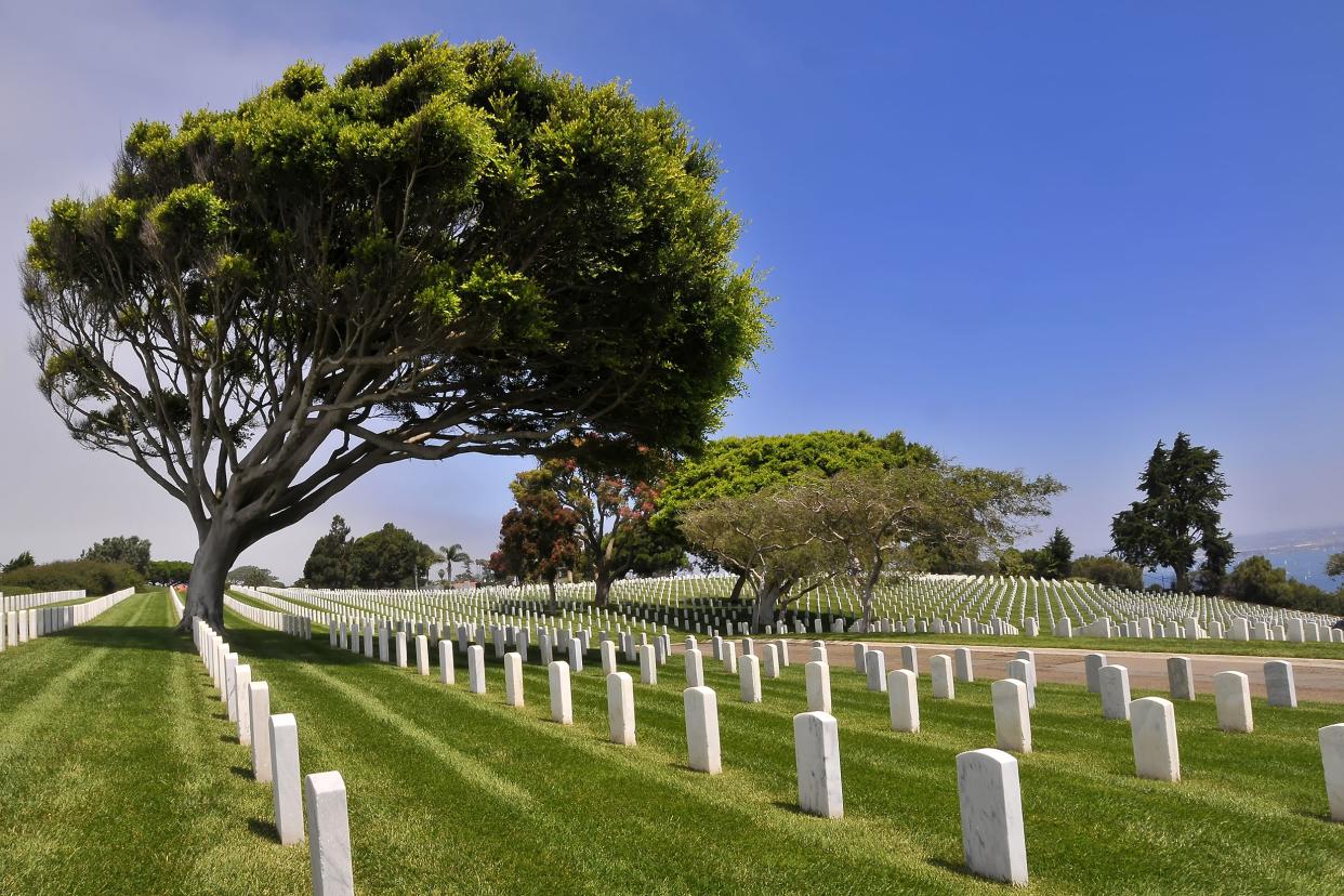 Fort Rosecrans Cemetery, San Diego, several rows of simple white marble headstones with a large tree dramatically on the left, a few other large trees among the graves against a blue sky