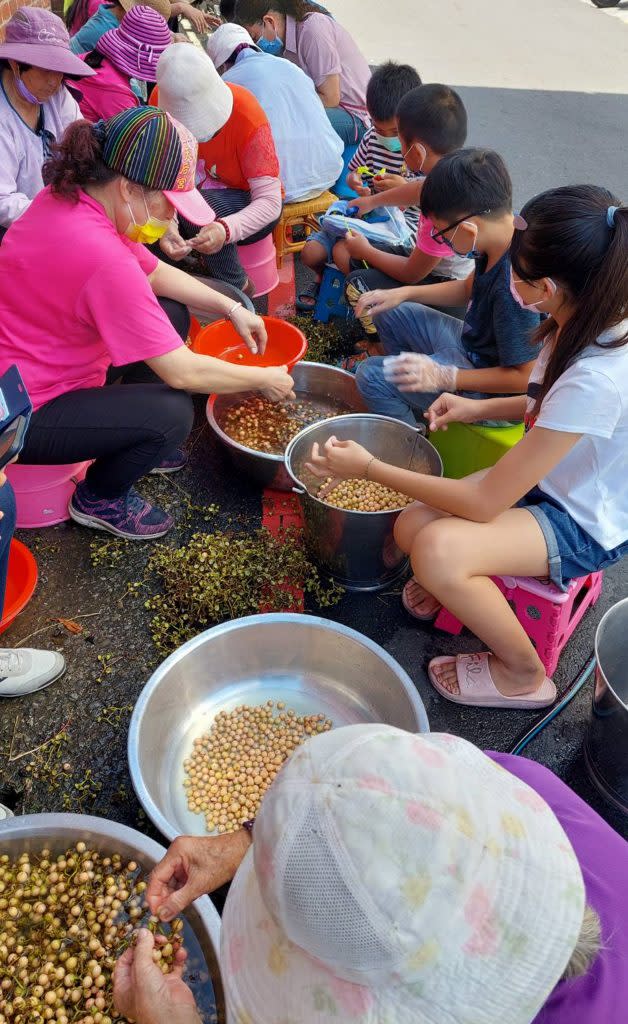 山上社區老老少少一起體驗破布子食農教育。 （記者張淑娟攝）