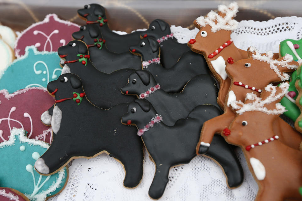 FILE - White House holiday cookies, including some picturing Bo and Sunny, the Obama family dogs, are displayed outside the West Wing of the White House in Washington, Dec. 4, 2013, after first lady Michelle Obama welcomed military families to the White House to tour the 2013 decorations. In pre-pandemic times, presidents and first ladies spent many evenings in December before Christmas hosting nearly two dozen holiday parties and receptions, sometimes two per day, where they stood in line for hours to pose for photos with ecstatic guests. (AP Photo/Charles Dharapak, File)