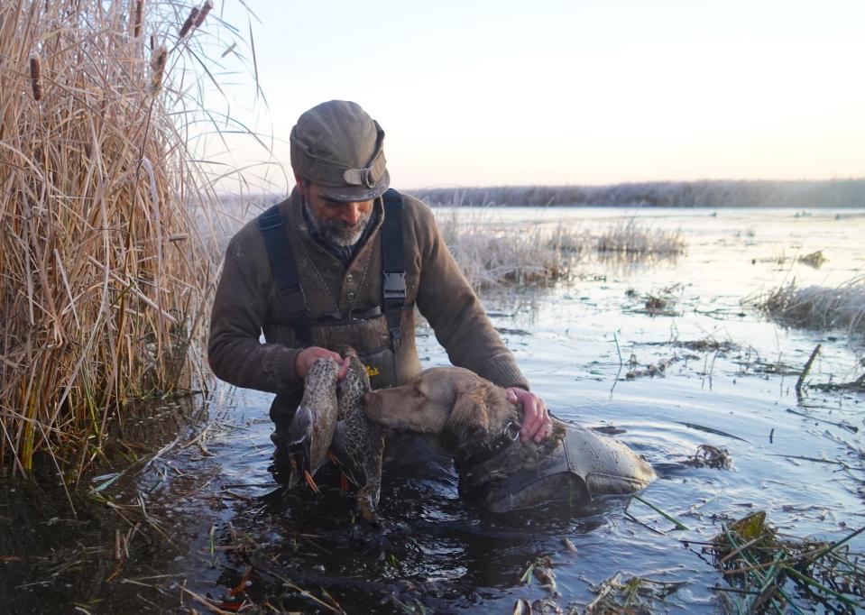 Bryan Muche holds northern shovelers retrieved by Pep, his Chesapeake Bay retriever during a Nov. 11 hunt at Horicon Marsh State Wildlife Area in Horicon.