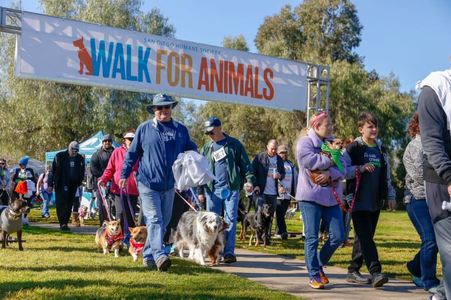 Pet lovers come together to celebrate their passion for animals while raising vital funds for San Diego Humane Society. (Photo: San Diego Humane Society)