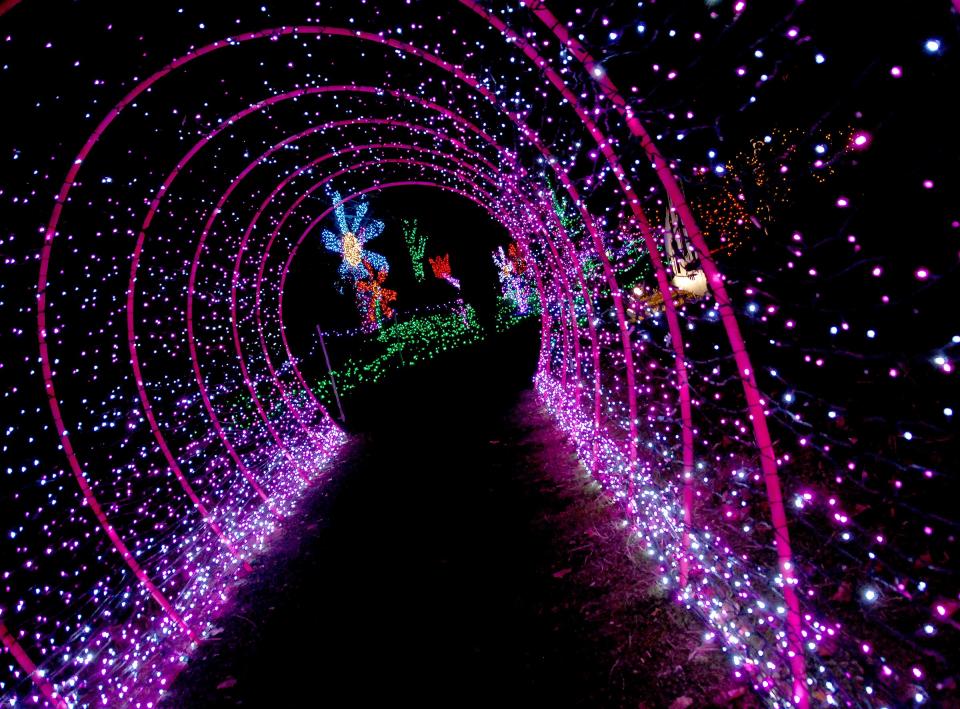 Some of the "millions of lights" in the displays at the Silverton Christmas Market's annual event at the Oregon Garden Resort.