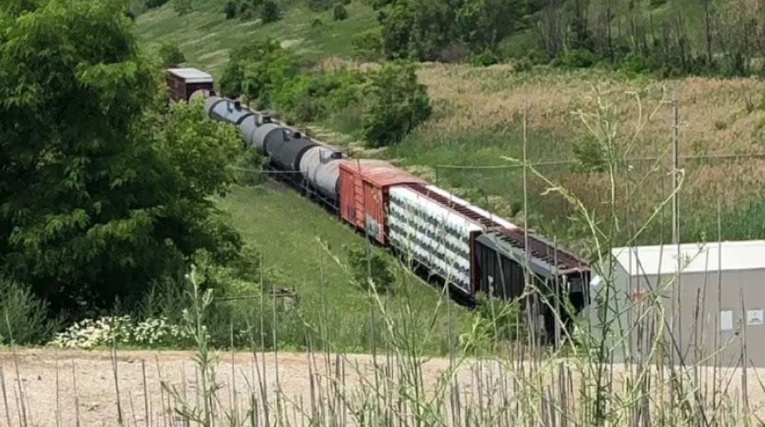 A freight train derailed in 2019 in the tunnel between Sarnia and Port Huron when a freight car collapsed due to a structural defect. (Amy Dodge/CBC - image credit)