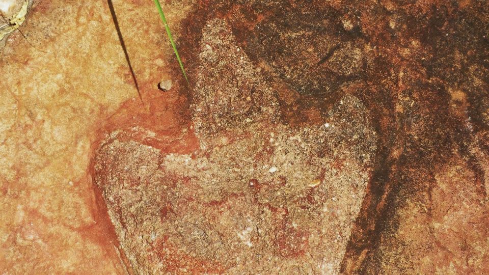 This image shows a theropod footprint from the Sousa Basin in northeastern Brazil. - Ismar de Souza Carvalho