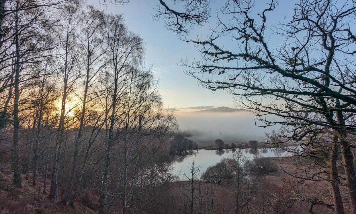 <span>‘Despite the march of spring, the trees on the riverbank are still bare, a black tracery against the glow.</span><span>Photograph: Merryn Glover</span>