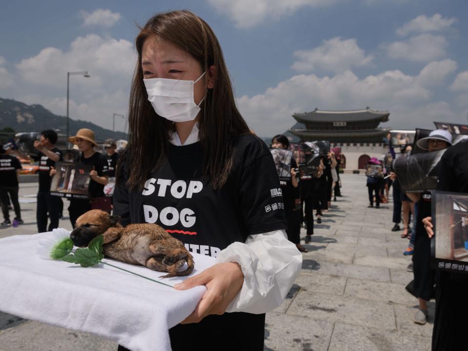 Activists from animal rights groups hold dead puppies retrieved from a dog meat farm during a protest in Seoul, South Korea.