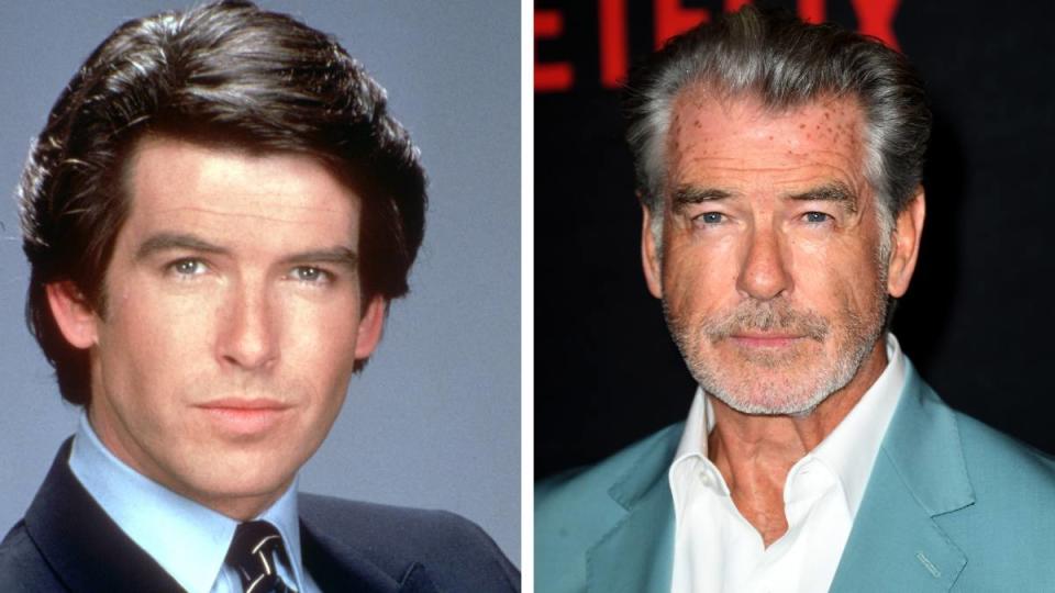 Pierce Brosnan as Remington Steele (Remington Steele)