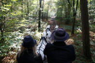 A followers carriage is seen during a roe dear-hunt on horseback with hounds in the Chantilly royal estate forest, north of Paris, France, October 12, 2016. Picture taken October 12, 2016. REUTERS/Jacky Naegelen