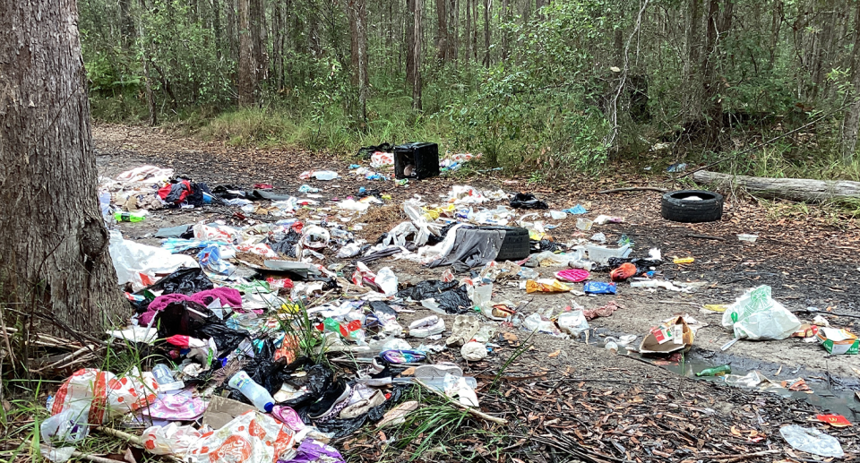 Coles bags and other household rubbish strewn across a road inside a conservation area.