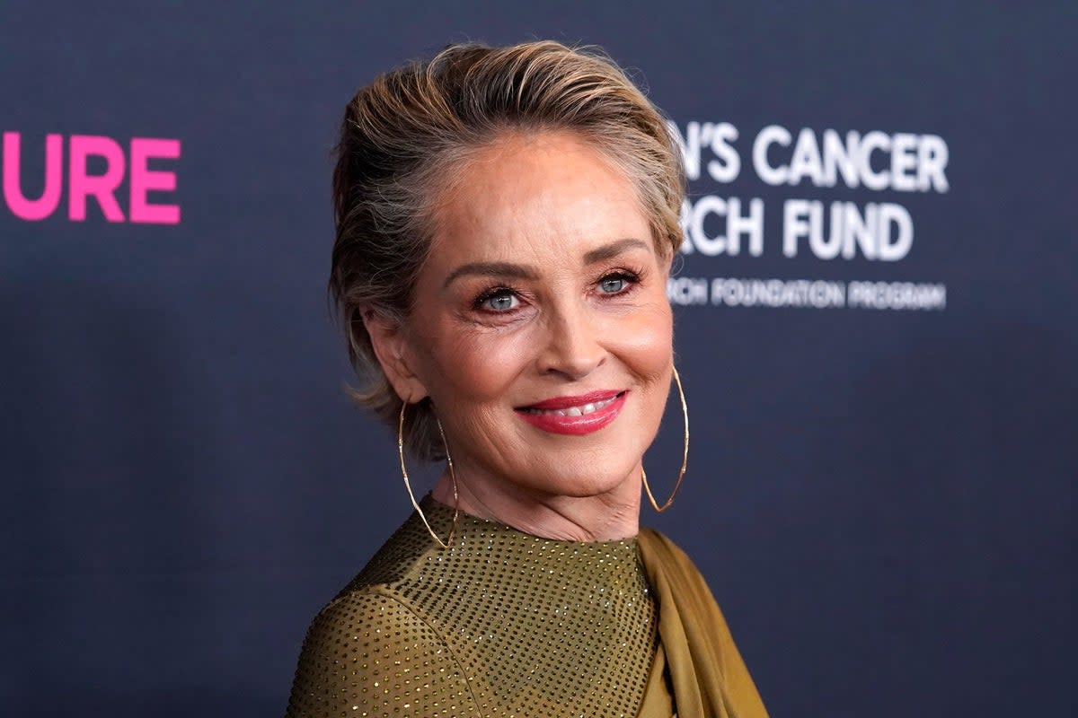 Sharon Stone pictured above (Chris Pizzello/Invision/AP)