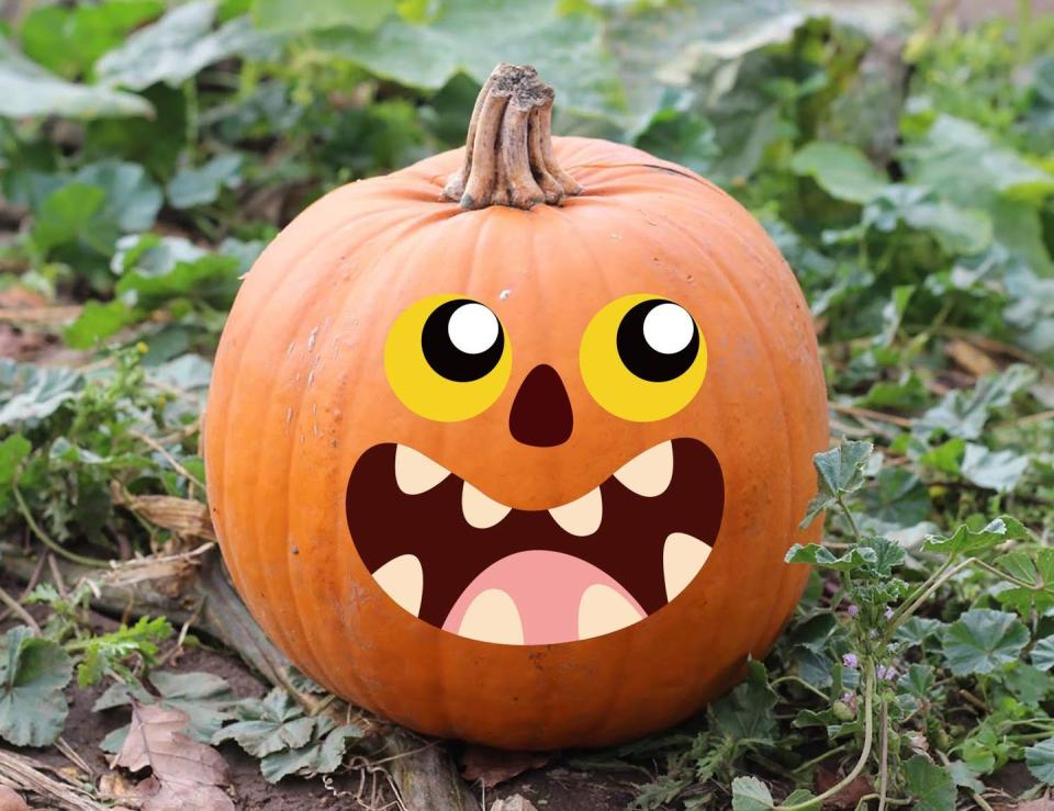 <p>Decorating your Jack-'o-lantern can be as easy as peeling stickers and sticking them on your pumpkin to look however you want it to. </p><p> <a class="link " href="https://www.amazon.com/jollylife-Make-Your-Jack-Lantern/dp/B07GZK7566/?tag=syn-yahoo-20&ascsubtag=%5Bartid%7C10070.g.331%5Bsrc%7Cyahoo-us" rel="nofollow noopener" target="_blank" data-ylk="slk:SHOP PUMPKIN STICKERS;elm:context_link;itc:0;sec:content-canvas">SHOP PUMPKIN STICKERS</a> <br></p>