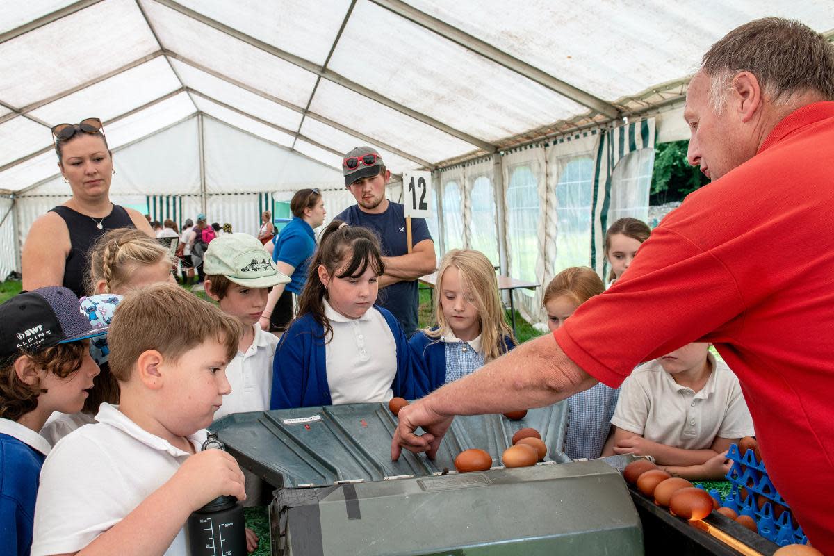 Children learning at Heaves Farm <i>(Image: Supplied)</i>