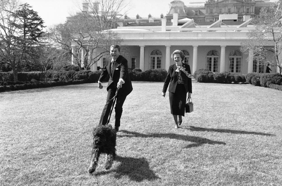 President Ronald Reagan is pulled along by his pet dog Lucky in 1985.